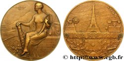 TROISIÈME RÉPUBLIQUE Médaille, Association Amicale des Postes des Télégraphes et des Téléphones