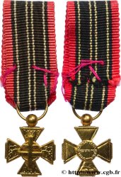 IV REPUBLIC Médaille, croix du combattant volontaire de la résistance, Miniature XF