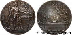 TERCERA REPUBLICA FRANCESA Médaille, 25e anniversaire, Union des sociétés de tir de France