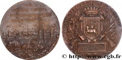 TERCERA REPUBLICA FRANCESA Médaille, Société de tir, XXIe concours national et international