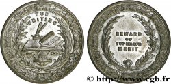 VEREINIGTEN KÖNIGREICH Médaille, For writing, Reward of superior merit