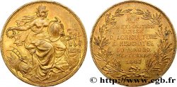 SCHWEIZ -  KANTON NEUCHATEL Médaille, Exposition agricole de Neuchatel