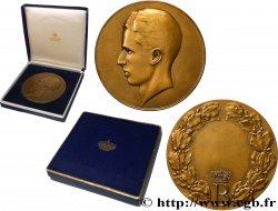 BELGIQUE - ROYAUME DE BELGIQUE - ALBERT Ier Médaille de récompense