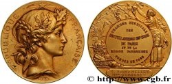 III REPUBLIC Médaille, Chambre syndicale des distillateurs en gros de Paris et région parisienne