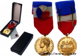 V REPUBLIC Médaille d’honneur du Travail, Ministère du Travail