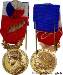 V REPUBLIC Médaille d’honneur du Travail, Ministère du Travail, Or
