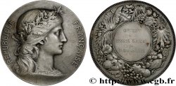 GENERAL, DEPARTEMENTAL OR MUNICIPAL COUNCIL - ADVISORS Médaille, Offerte par le Conseil général de Saône-et-Loire