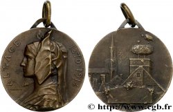 ALSACE - VILLES ET NOBLESSE Médaille, Alsace