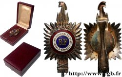 GOUVERNEMENT PROVISOIRE DE LA RÉPUBLIQUE FRANÇAISE Insigne de fonction, Assemblée Nationale constituante