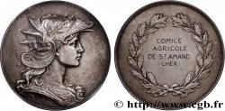 TERZA REPUBBLICA FRANCESE Médaille, Comice agricole de Saint Amand