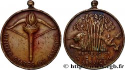 UNITED STATES OF AMERICA Médaille, Vietnam Service