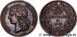 III REPUBLIC Médaille, Centenaire de 1789