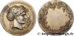 SOCIÉTÉS D&nbsp;AGRICULTURE, HORTICULTURE, PÈCHE ET CHASSE Médaille, Société nationale d’encouragement à l’agriculture