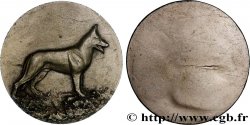 CANINE SOCIETY - DOGS AND COMPETITION Médaille, Chien