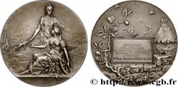 ASSOCIATIONS PROFESSIONNELLES - SYNDICATS Médaille, Fédération des syndicats de produits chimiques, Engrais et produits chimiques