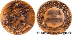 ASSOCIATIONS PROFESSIONNELLES - SYNDICATS. XIXe Médaille de récompense, FRANCE