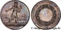 III REPUBLIC Médaille, Comice agricole