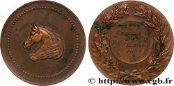 DRITTE FRANZOSISCHE REPUBLIK Médaille, Épreuve de fond organisée par le Matin