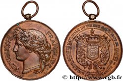 TIR ET ARQUEBUSE Médaille d’honneur, Société Nationale du Tir des communes de France