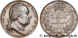 LOUIS XVIII Médaille parlementaire