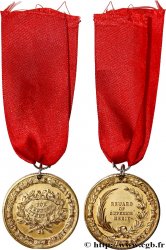 ROYAUME-UNI Médaille de récompense, For regular attendance