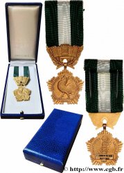CINQUIÈME RÉPUBLIQUE Médaille, Collectivités locales