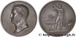 NAPOLEON S EMPIRE Médaille, Baptême du roi de Rome, refrappe