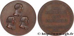 CONSULAT Médaille, Paix d Amiens