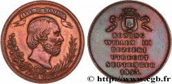NETHERLANDS - KINGDOM OF THE NETHERLANDS - WILLIAM III Médaille, Guillaume III