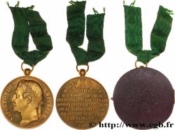 ZWEITES KAISERREICH Médaille, Hommage aux ministres de Napoléon III fST