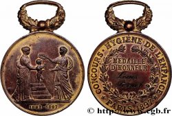 TERCERA REPUBLICA FRANCESA Médaille, Hygiène de l’enfance