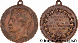 SEGUNDA REPUBLICA FRANCESA Médaillette d’élection de Louis-Napoléon Bonaparte