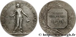 NOTAIRES DU XIXe SIECLE Médaille, Notaires de Saumur