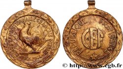 GOUVERNEMENT PROVISOIRE DE LA RÉPUBLIQUE FRANÇAISE Médaille, Corps expéditionnaire français d’Italie