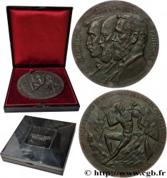 SCIENCES & SCIENTIFIQUES Médaille, Cent ans au service de la chimie et électrométallurgie