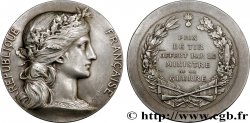 TROISIÈME RÉPUBLIQUE Médaille, Prix de tir offert