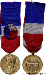 QUINTA REPUBBLICA FRANCESE Médaille d’honneur du Travail, Ministère du Travail