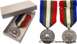 QUINTA REPUBBLICA FRANCESE Médaille de l Union nationale des combattants (U. N. C.)