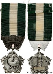 V REPUBLIC Médaille, Collectivités locales
