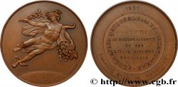 QUATRIÈME RÉPUBLIQUE Médaille, Chambre syndicale, Fédération nationale des syndicats de V. R. P.