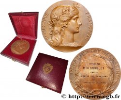 TERZA REPUBBLICA FRANCESE Médaille, Offert par le préfet chargé des fonctions de préfet de la Seine