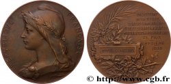 III REPUBLIC Médaille, Service des aliénés, 2e prix d’hygiène