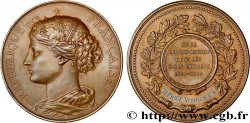 DRITTE FRANZOSISCHE REPUBLIK Médaille, Société de secours mutuels