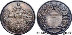 SOCIÉTÉS D AGRICULTURE, HORTICULTURE, PÊCHE ET CHASSE Médaille, Comice agricole