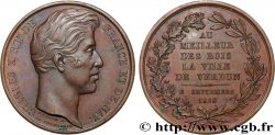 CHARLES X Médaille, Passage du roi à Verdun
