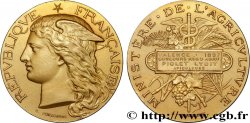 TERZA REPUBBLICA FRANCESE Médaille de récompense, concours régional agricole