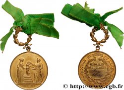 III REPUBLIC Médaille, Hygiène de l’enfance