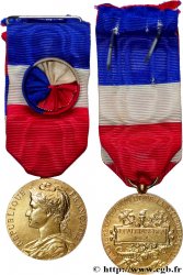 V REPUBLIC Médaille d’honneur du travail, Ministère du travail et de la sécurité sociale, Vermeil