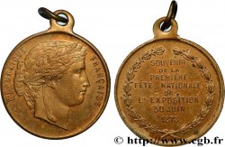 TERCERA REPUBLICA FRANCESA Médaillette, Souvenir de la première fête nationale