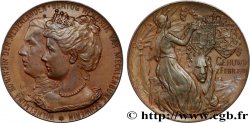 PAíSES BAJOS - REINO DE HOLANDA Médaille, Mariage de Henrich, Duc de Meklembourg et Wilhelmina des Pays-Bas